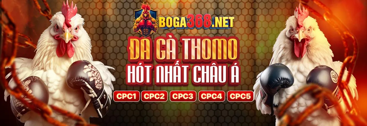 Đá Gà Trực Tuyến Hấp Dẫn tại nohu 52 đăng nhập